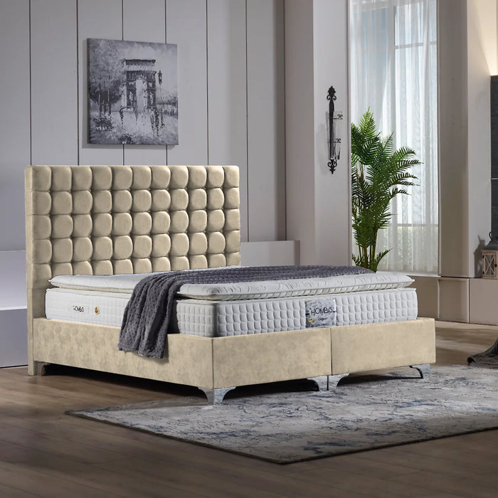 Alamar Set Beige