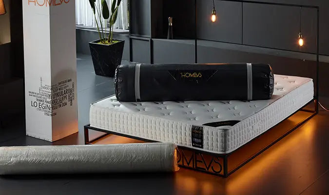 DOPPELFEDERKERNSYSTEM: