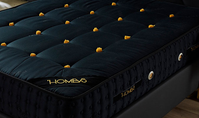 DOPPELFEDERKERNSYSTEM: