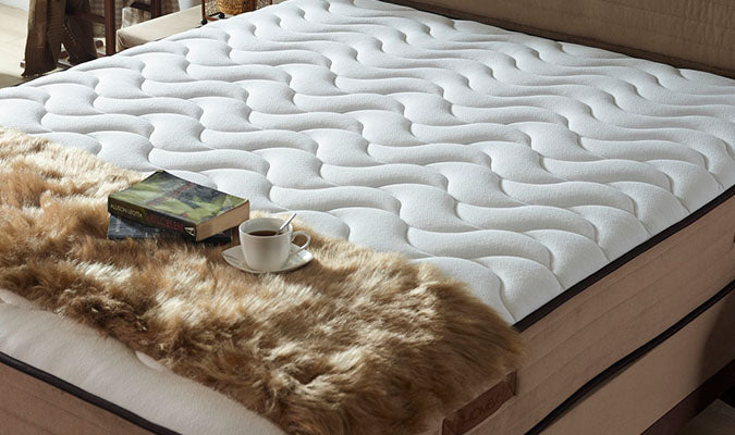 DOPPELFEDERKERNSYSTEM: